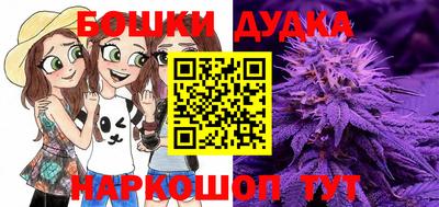 apvp Новозыбков